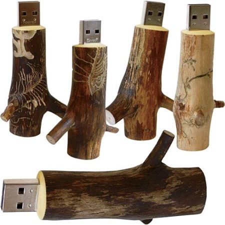 Trunk wood USB